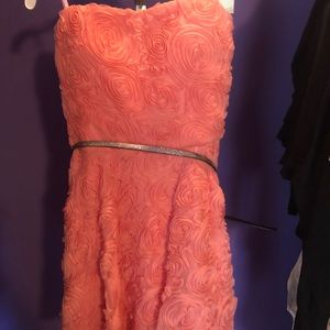 Rose Dress